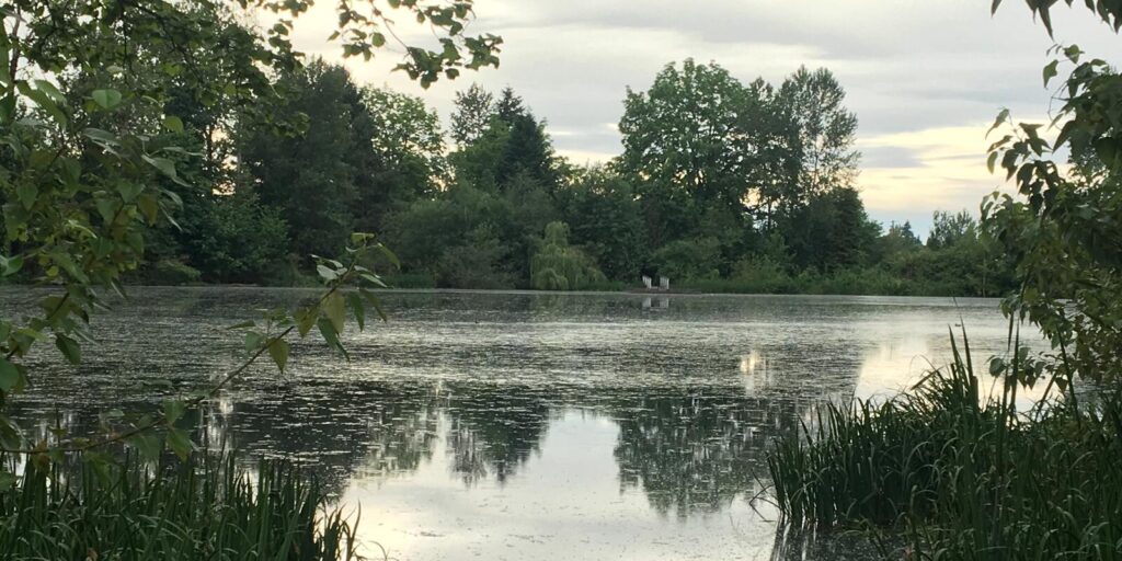 Whitaker Ponds Cully